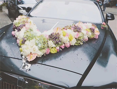 标题：婚车租赁
浏览次数：3379
发布时间：2018-05-24